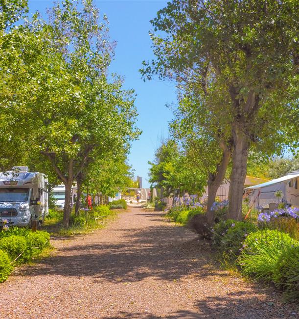 Wohnwagen-Stellplätze am Mittelmeer - Vermietung von Stellplätzen für Zelte, Wohnwagen und Wohnmobile – 3-Sterne-Campingplatz Beauregard Plage, in Marseillan Plage im Herault im Languedoc Roussillon